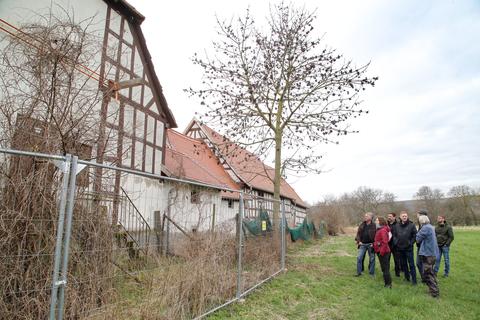 wie-geht-es-mit-der-treburer-ludwigsaue-weiter